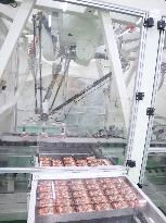 Production line for On-Awa, a solid bath salt sold by Earth Chemical Co.
